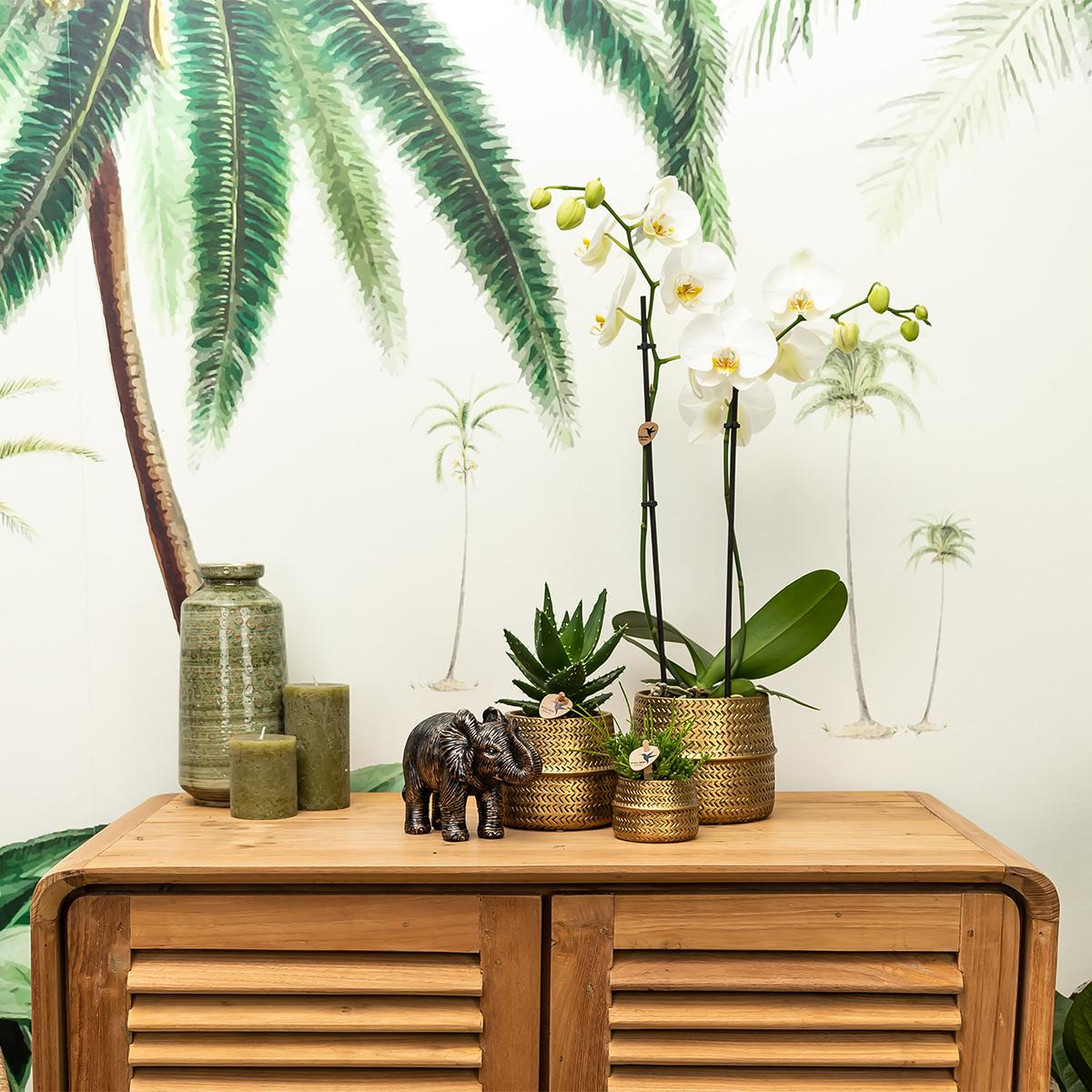 Kolibri Home – Groove kruka - Gouden keramisk prydnadskruka - krukstorlek - Ø12cm