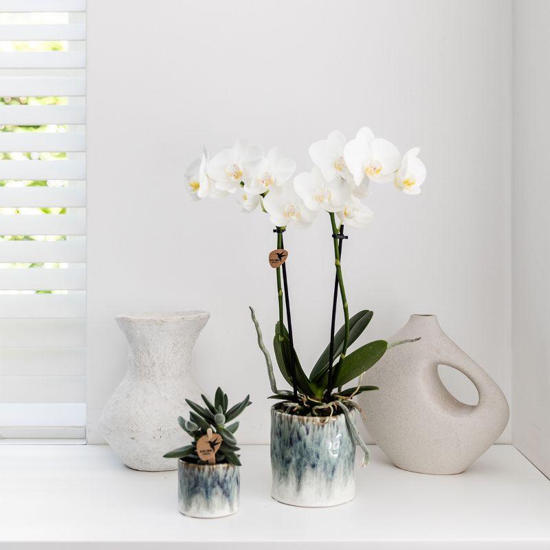 Kolibri Home – Sky pot - Ø9cm