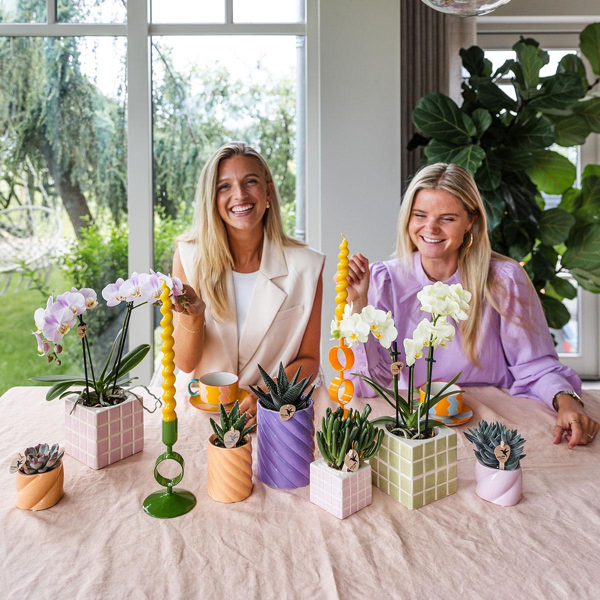 Kolibri Home – Candy prydnadskruka – Hoog - Lilac - Ø9cm