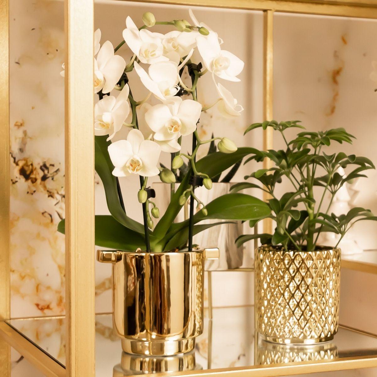 Kolibri Home – Metallic diamond kruka - Gouden keramisk prydnadskruka Ø9cm