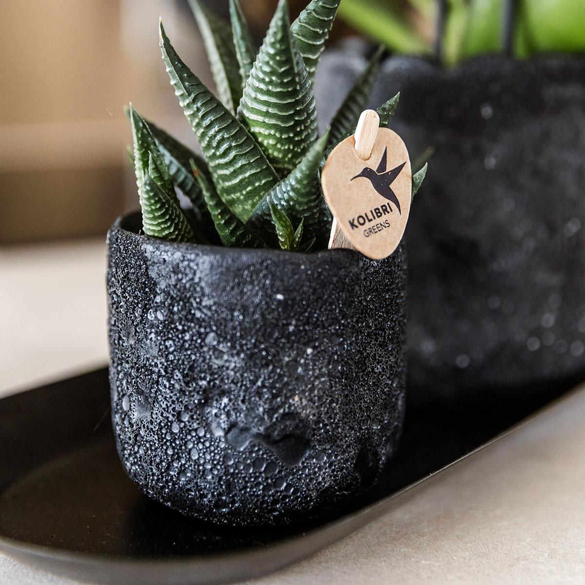 Kolibri Home – Moon prydnadskruka - Black - Ø6cm