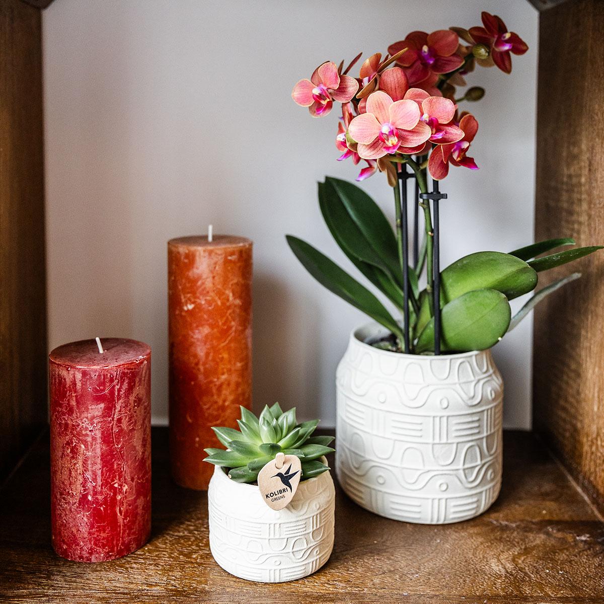 Kolibri Home – Hyroglyph prydnadskruka - Off White - Ø9cm