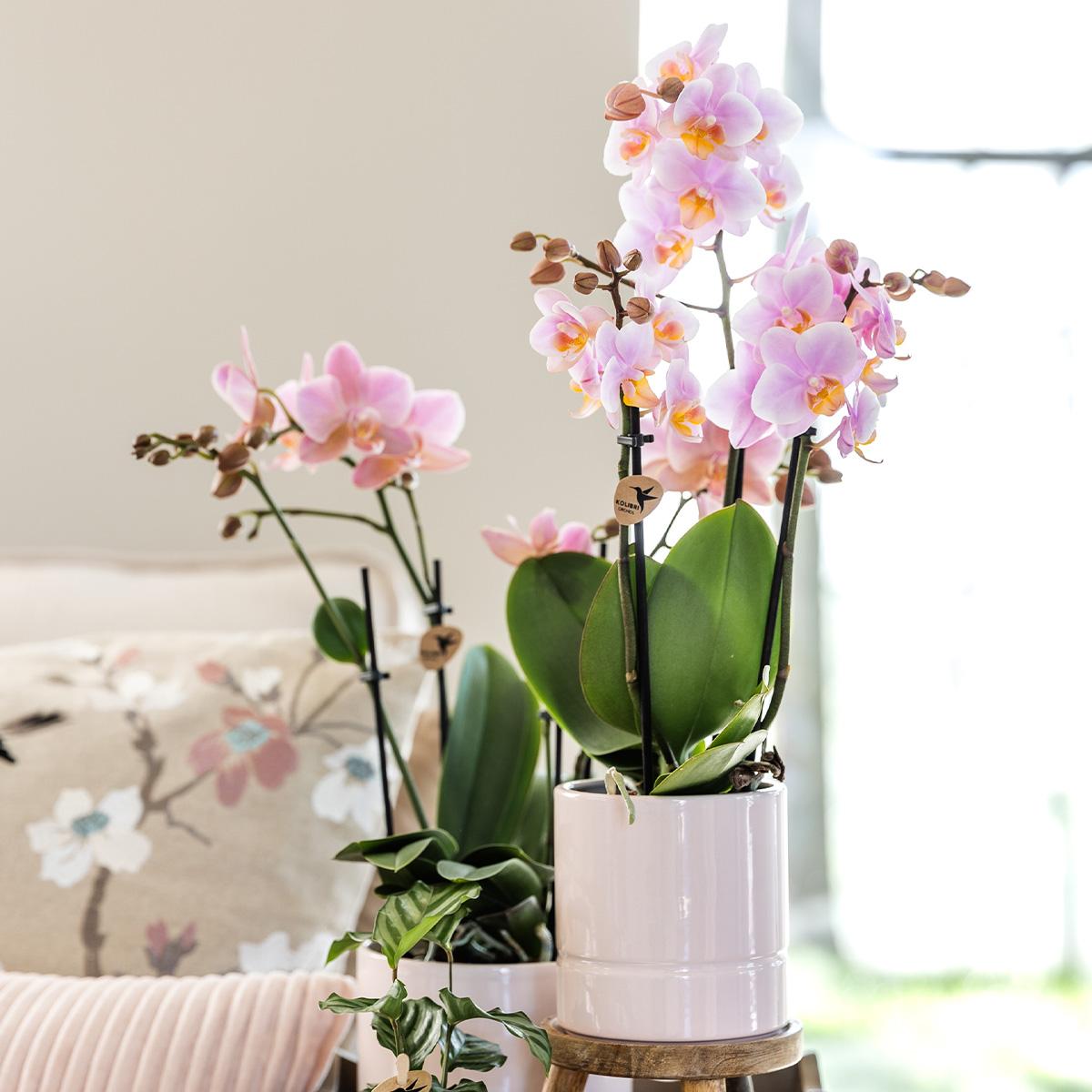 Kolibri Home – Pastel pot white - Ø9cm