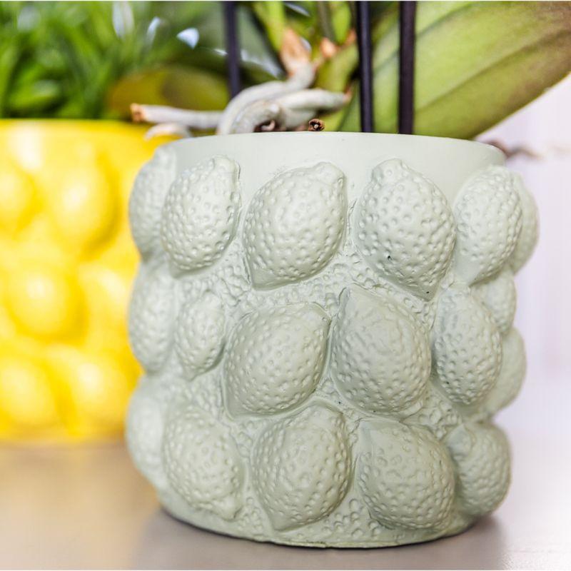 Kolibri Home – Citrus pot grön - Ø12cm