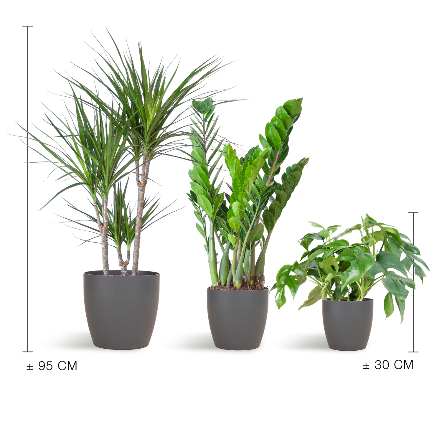 Schaduw Plantenbox - medium - med vibers pot grijs