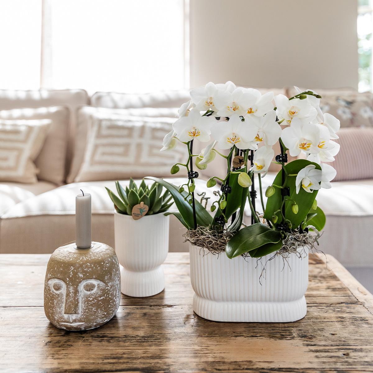 Kolibri Home – Diabolo pot white - Ø12cm
