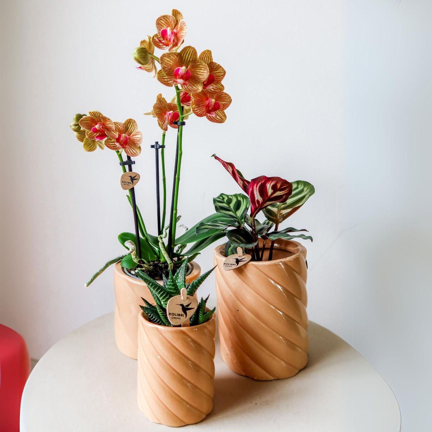 Kolibri Home – Candy prydnadskruka – Hoog - Peach - Ø9cm