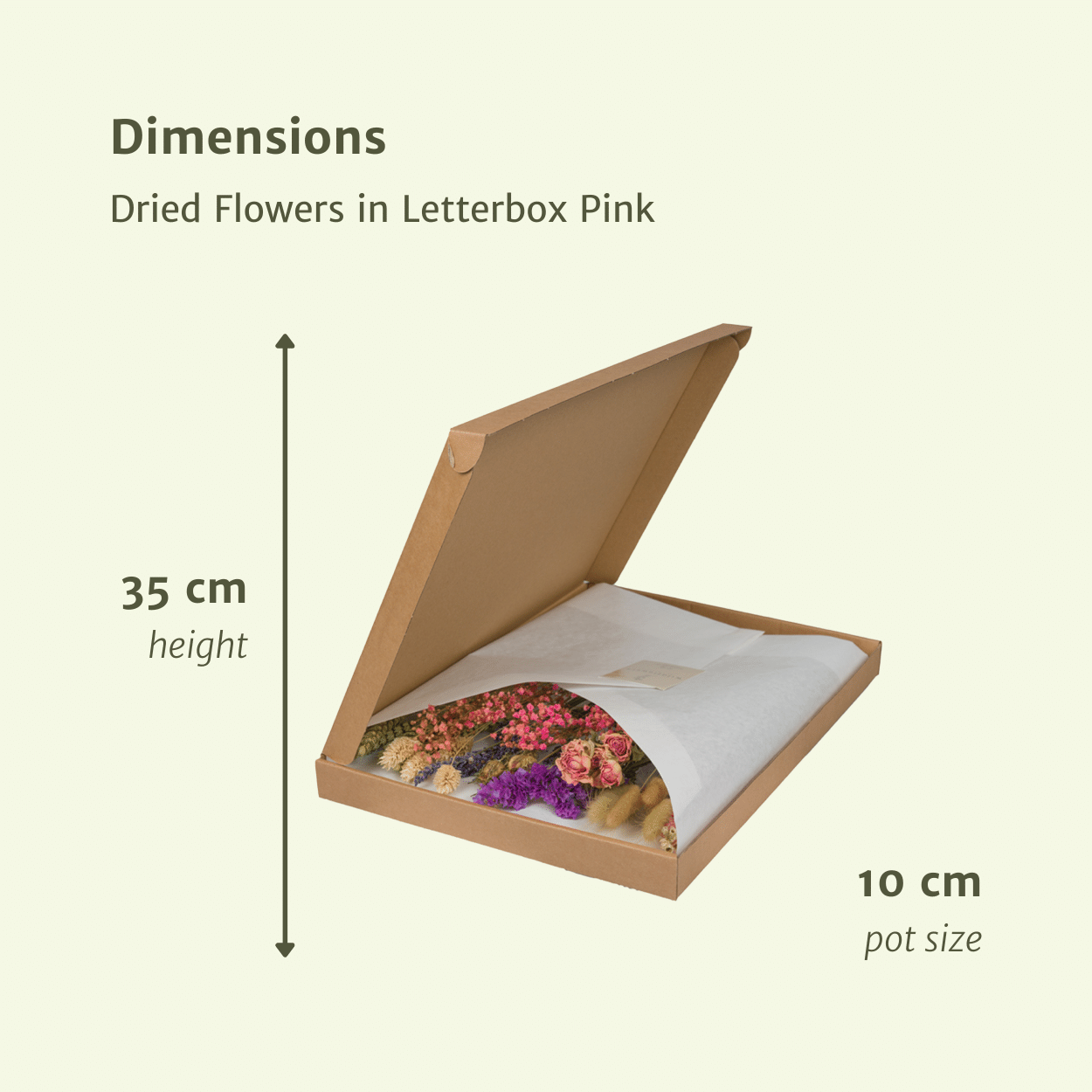 Droogbloemen i Letterbox - Pik