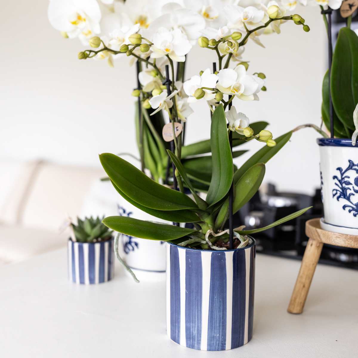 Kolibri Home – Paited stripe - Blue - Ø9cm