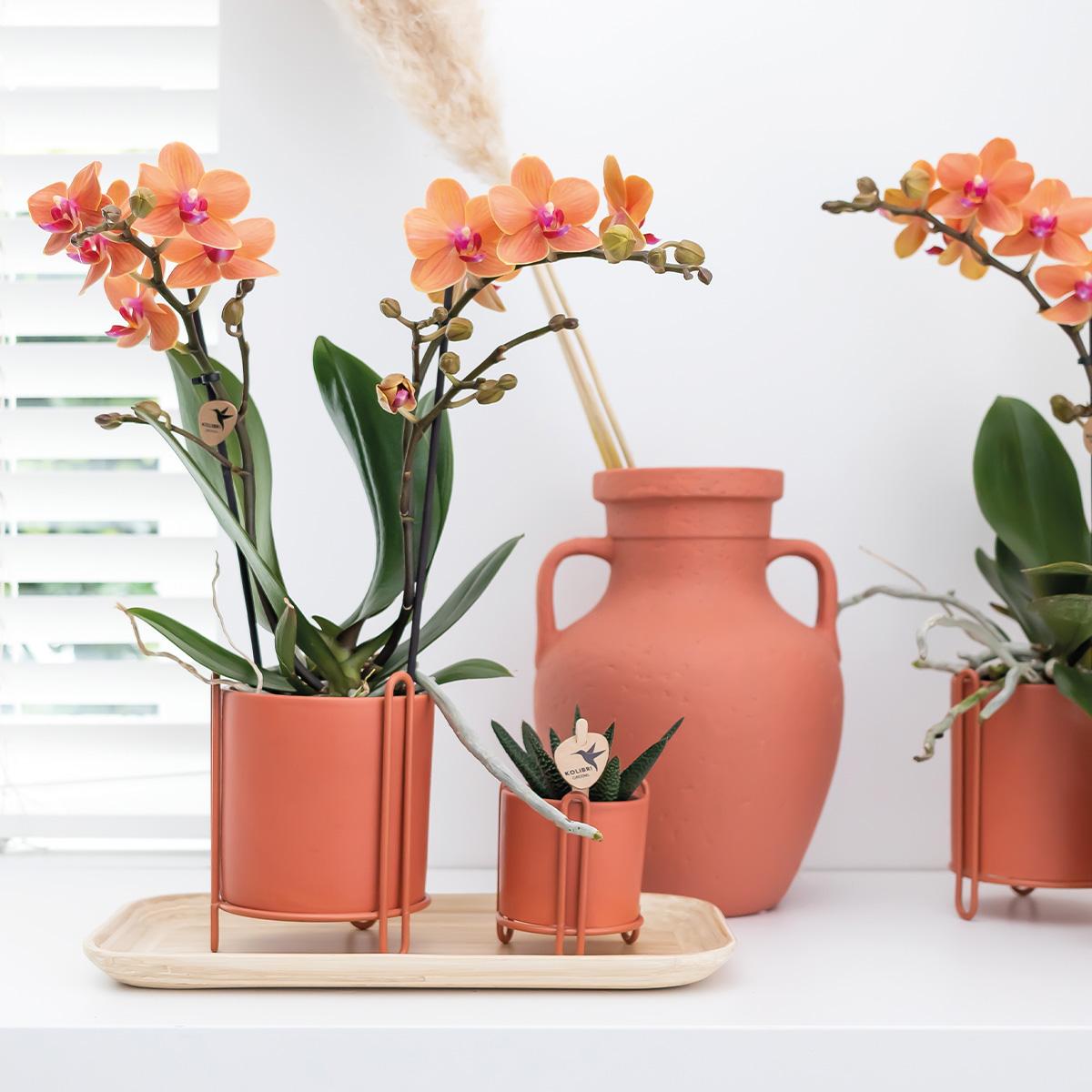 Kolibri Home – Bamboe ovale dienblad