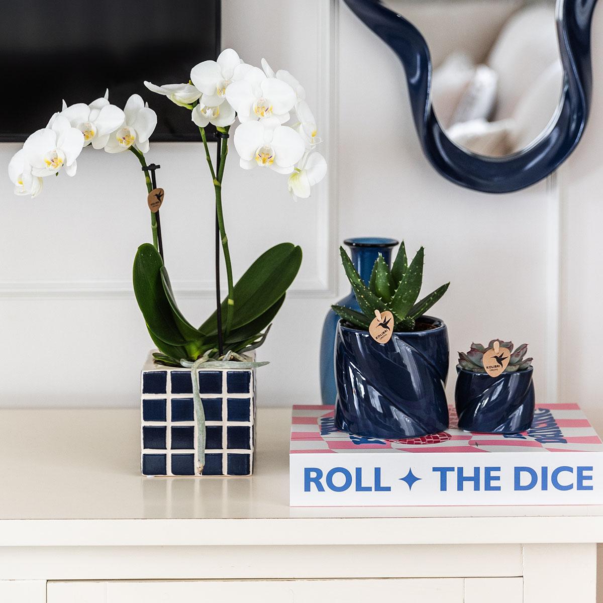 Kolibri Home – Candy prydnadskruka - Blue - Ø9cm