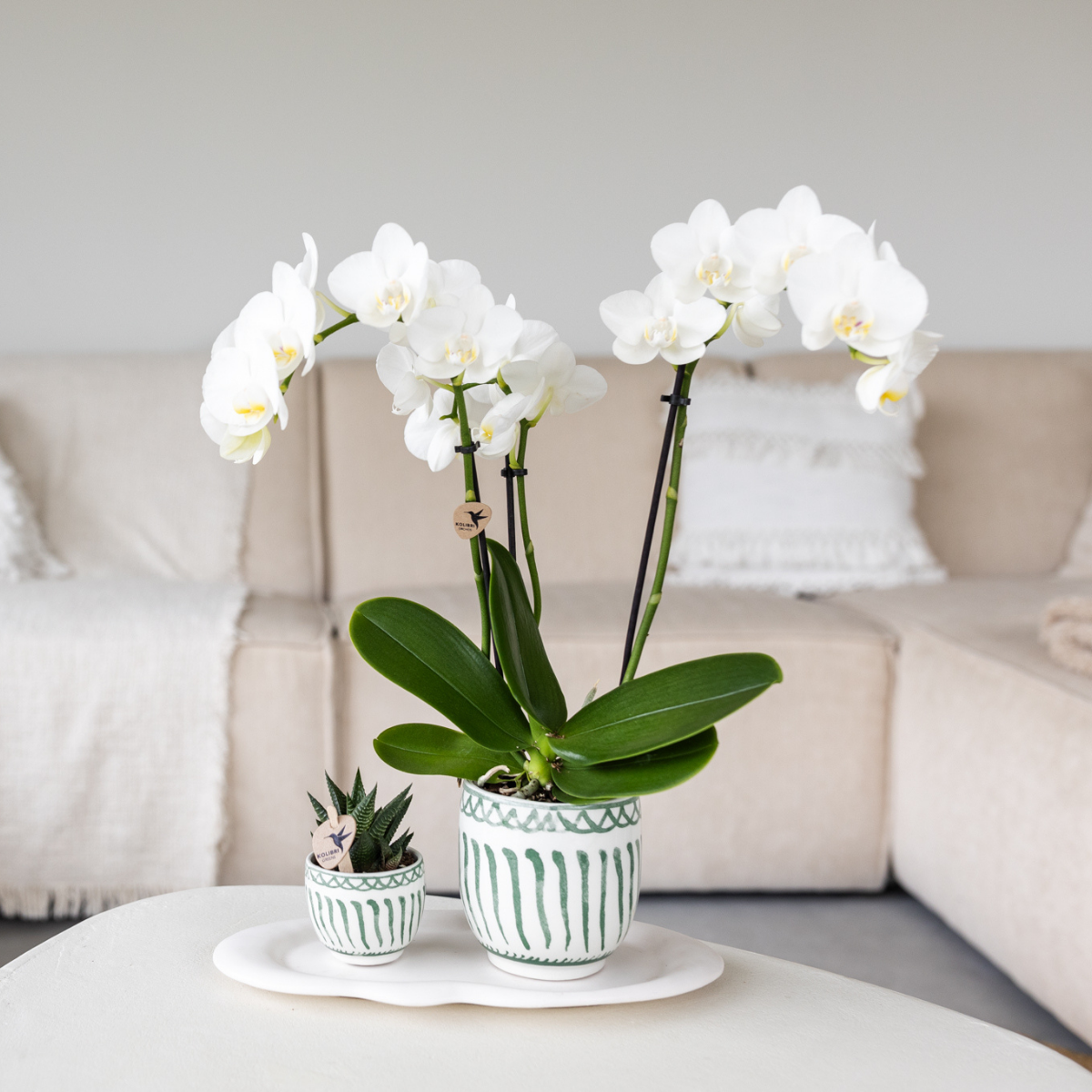 Kolibri Home – Granada - Green - Ø9cm