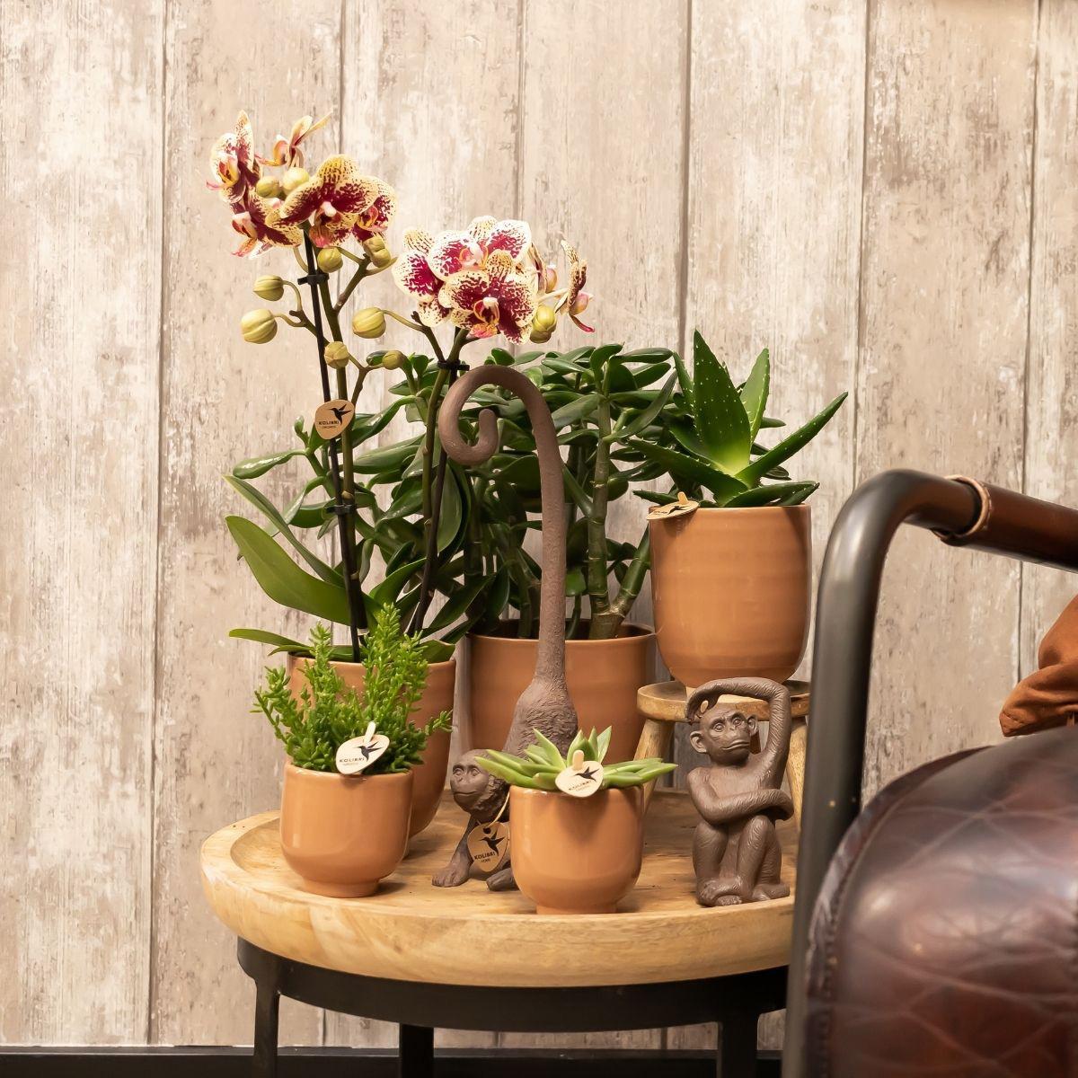 Kolibri Home – Glazed kruka - Cognac keramisk prydnadskruka med glans - Ø12cm