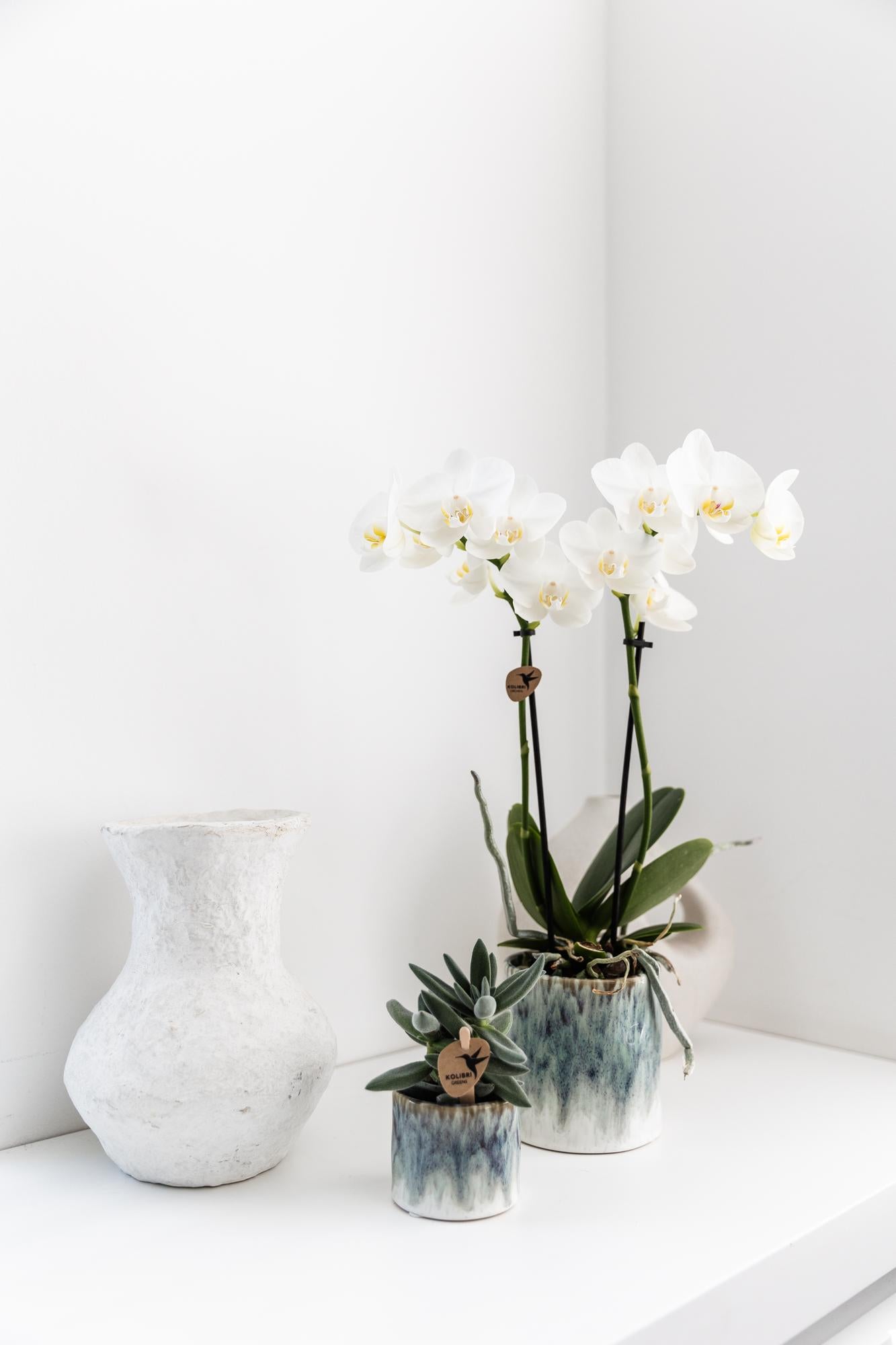 Kolibri Home – Sky pot - Ø6cm