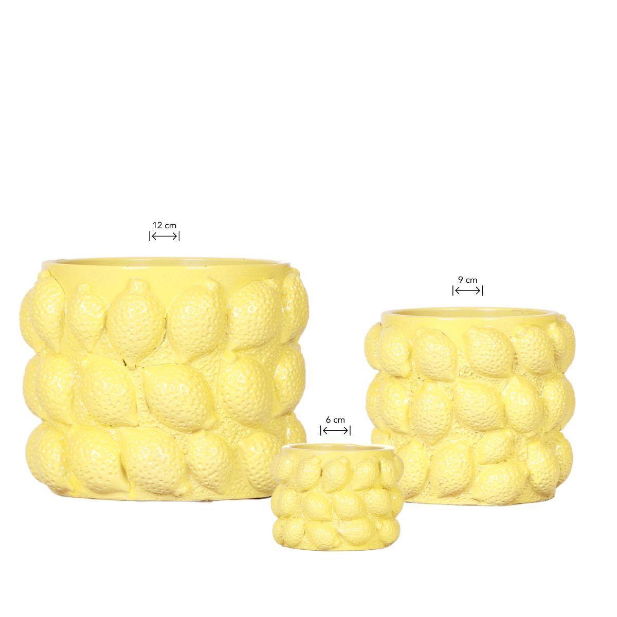 Kolibri Home – Combi deal - Citrus kruka - gele cementen prydnadskruka