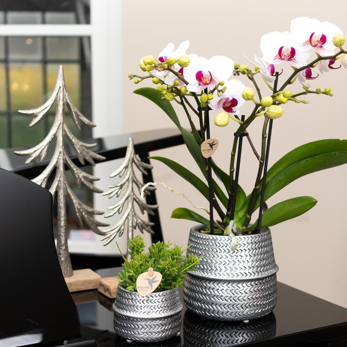 Kolibri Home – Groove kruka - Gouden keramisk prydnadskruka - Ø12cm