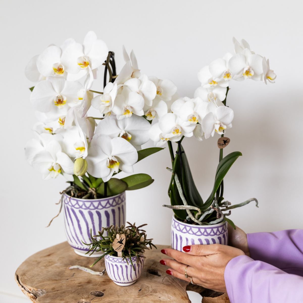 Kolibri Home – Granada - Lilac - Ø9cm