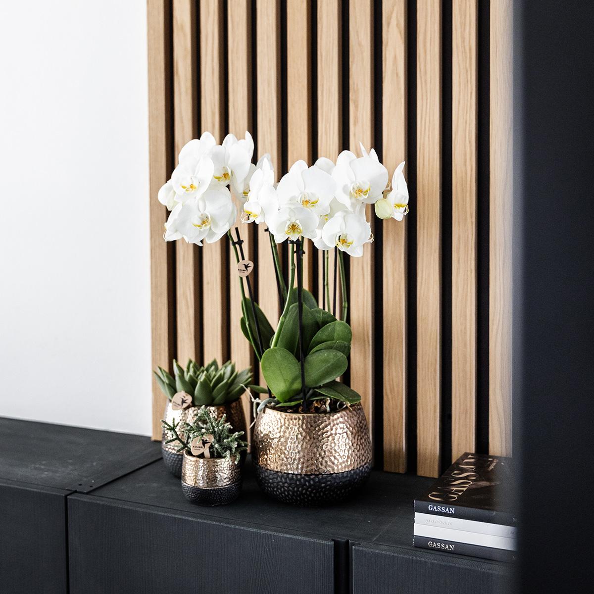 Kolibri Home – Elite pot copper - Ø12cm