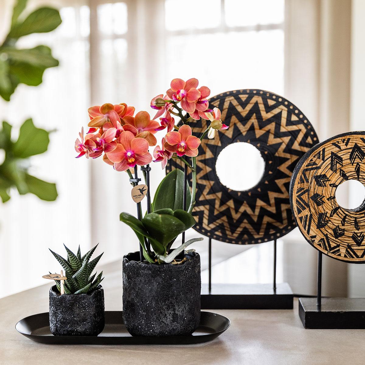 Kolibri Home – Moon prydnadskruka - Black - Ø9cm