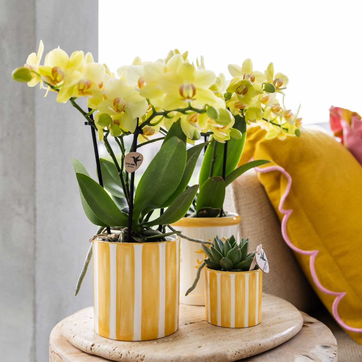 Kolibri Home – Paited stripe - Yellow - Ø9cm