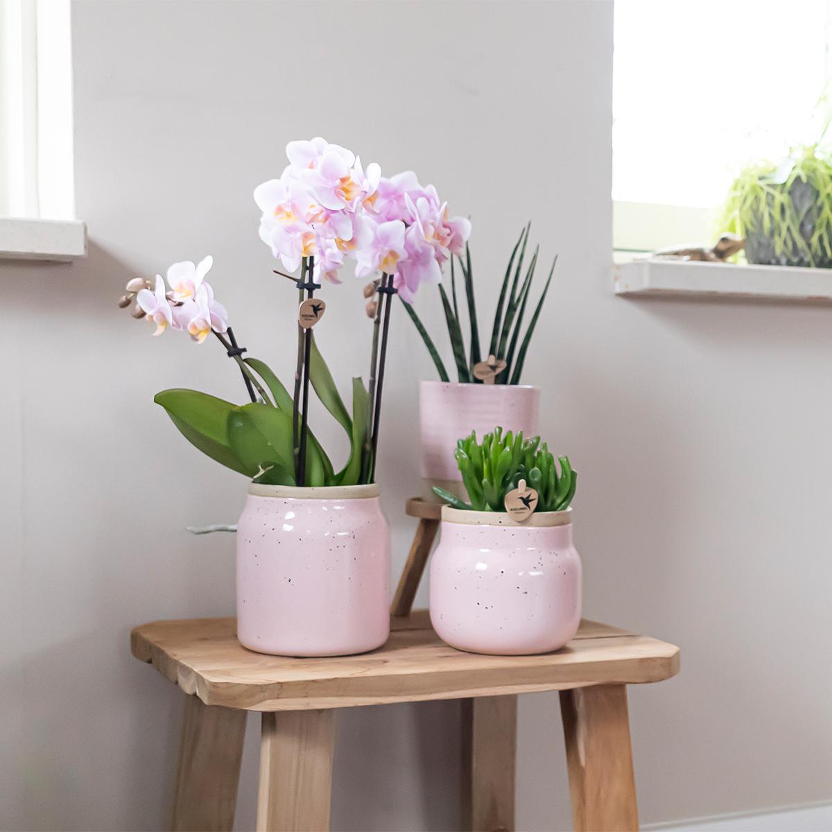 Kolibri Home – Vitage kruka - Roze keramisk prydnadskruka - Ø9cm