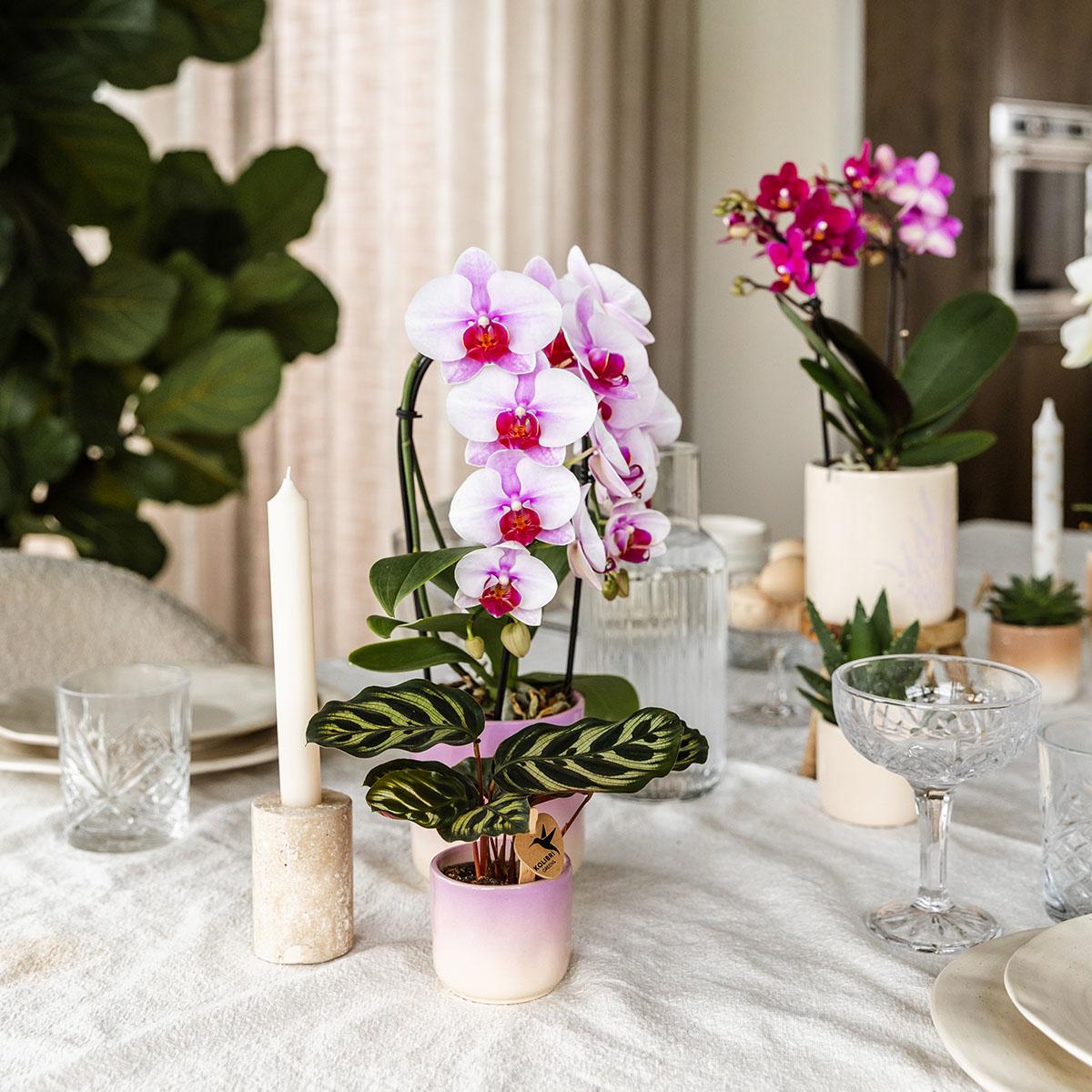 Kolibri Home – Gradience prydnadskruka - Pik - Ø9cm