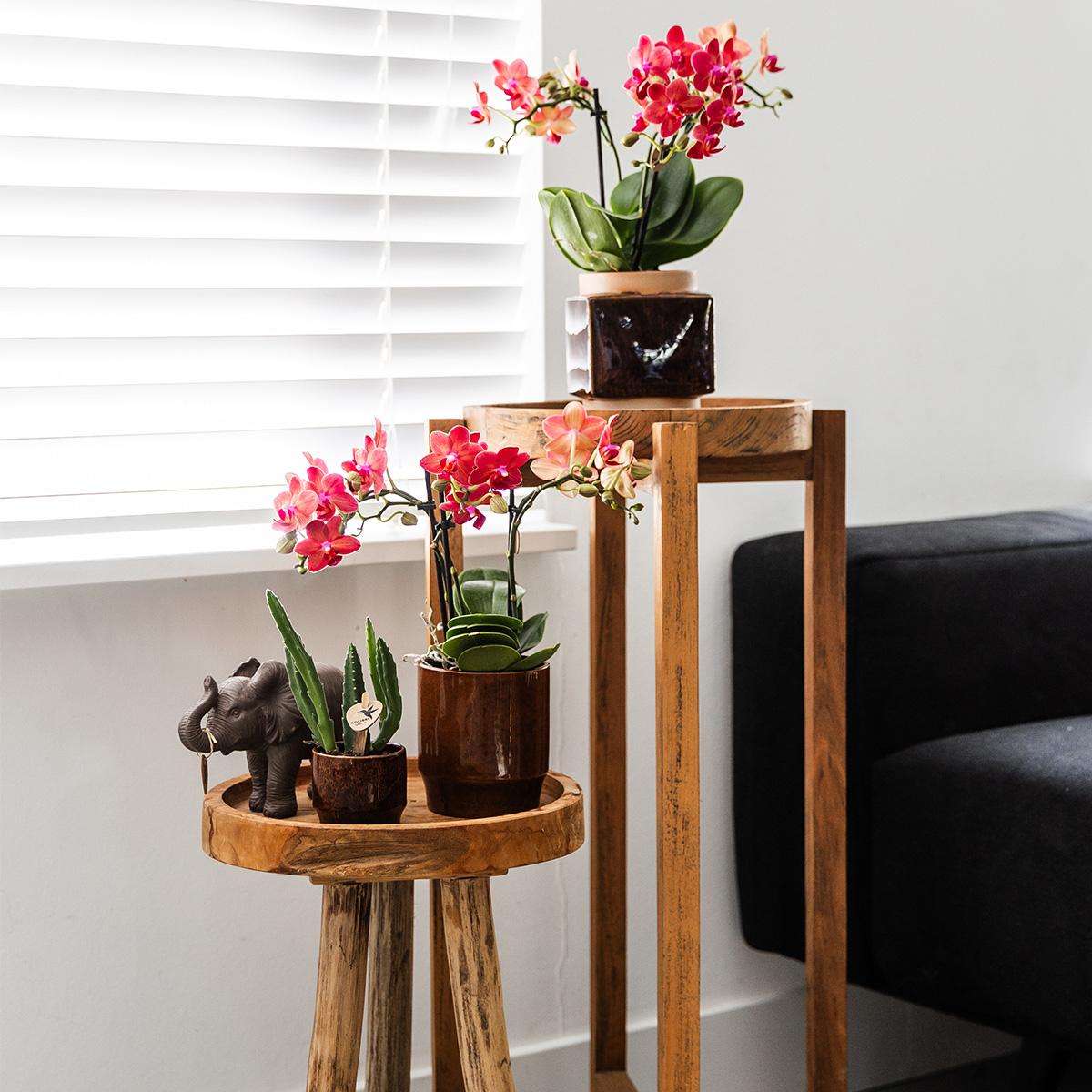 Kolibri Home – Classy red - Ø9cm
