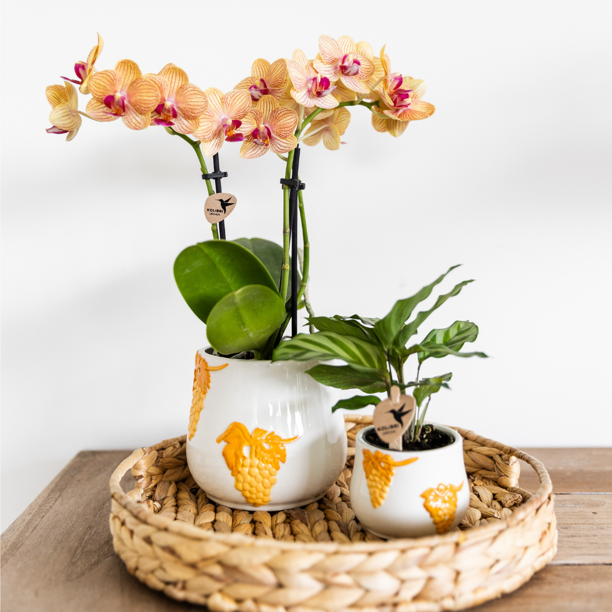 Kolibri Home I Grape pot - Orange - Ø9cm