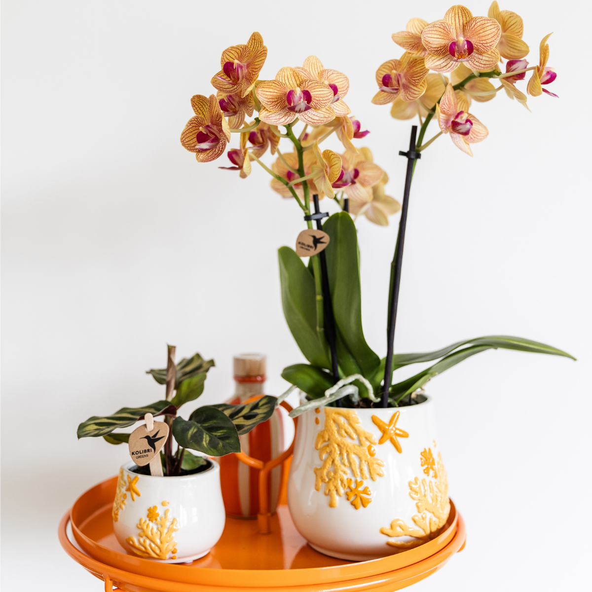 Kolibri Home – Coral - Yellow - Ø9cm