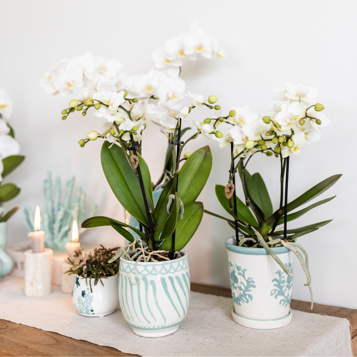 Kolibri Home – Granada - Turquoise - Ø9cm