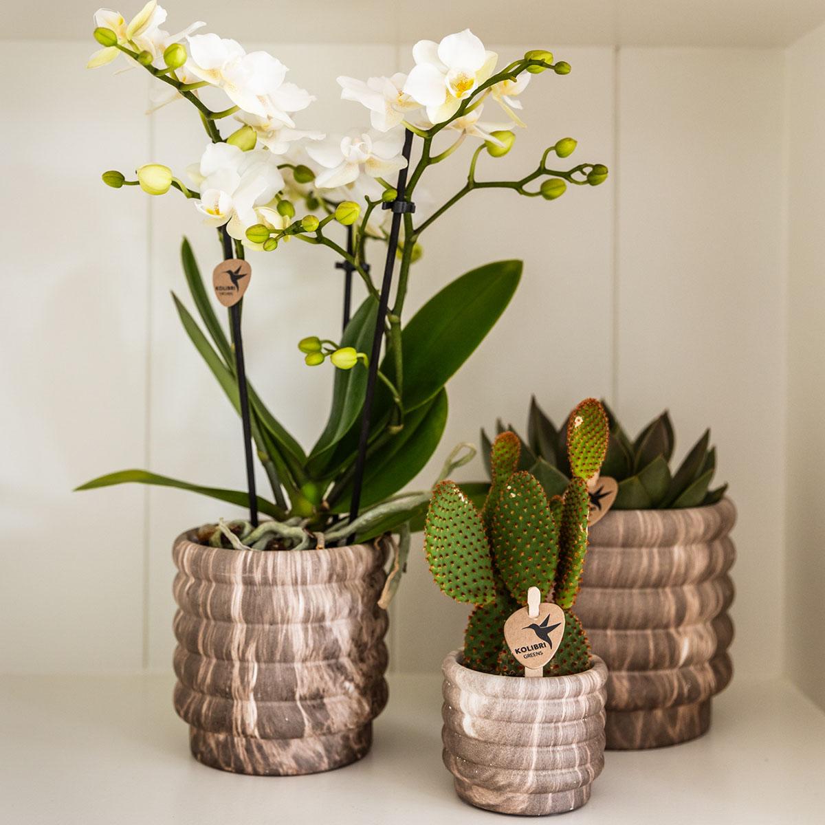 Kolibri Home – Marble pot - Dark - Ø9cm
