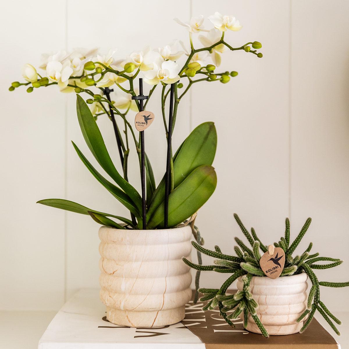 Kolibri Home – Marble pot - Light - Ø9cm