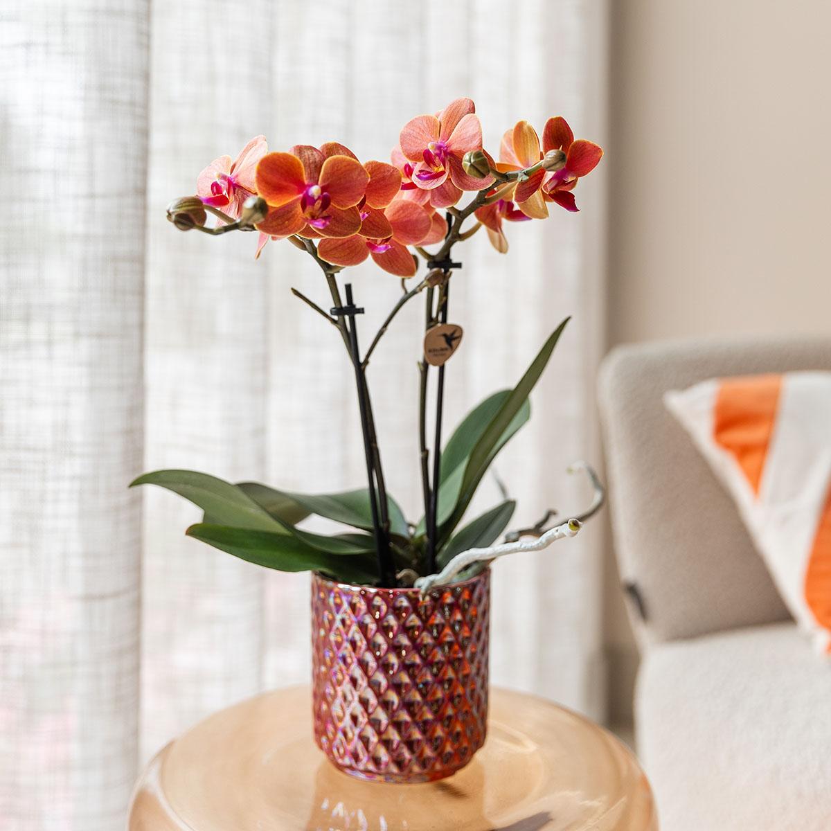 Kolibri Home – Diamond pearl red - Ø9cm