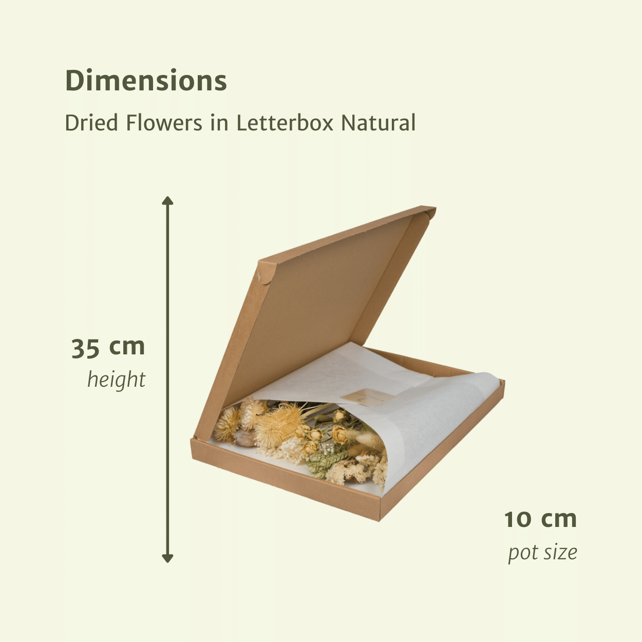 Droogbloemen i Letterbox - Natural