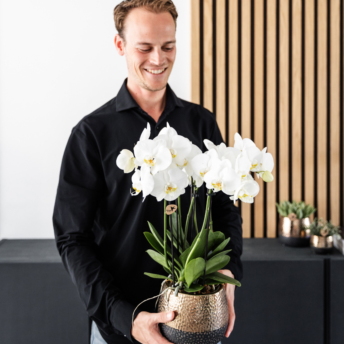 Kolibri Orchids – COMBI DEAL van 4 vitte orkidéer - Ghent - krukstorlek Ø12cm – bloeiende kamerplant - vers van de kweker