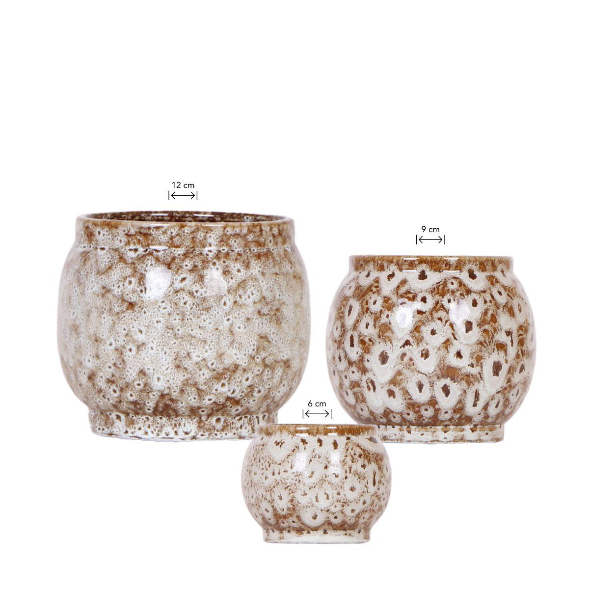 Kolibri Home – Combi deal - Safari potten