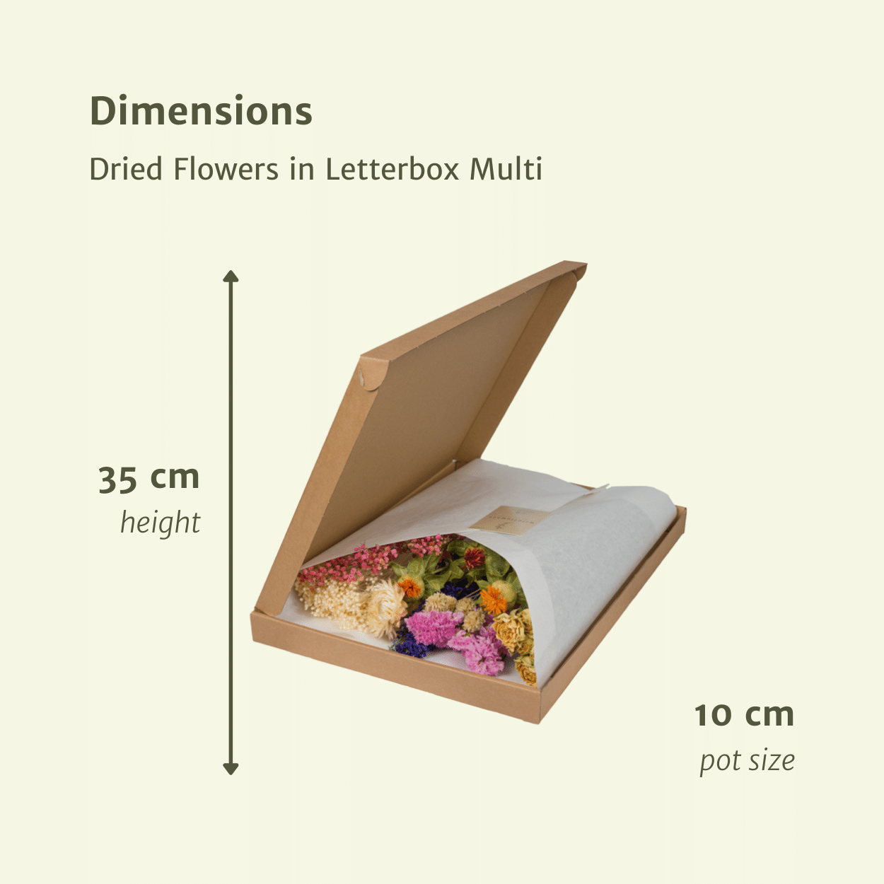 Droogbloemen i Letterbox - Multi