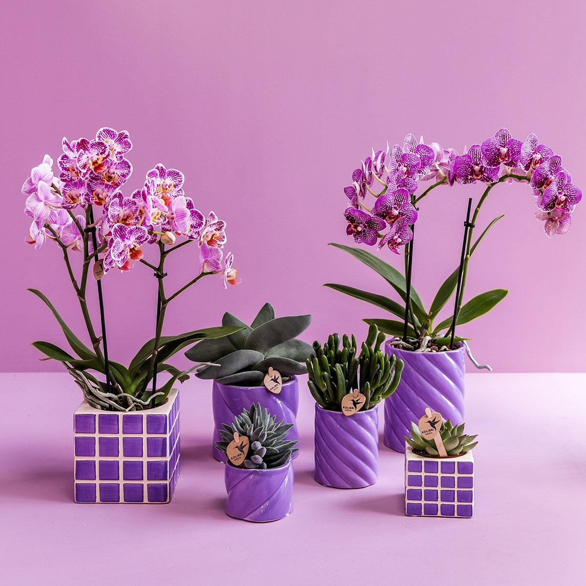 Kolibri Home – Candy prydnadskruka - Lilac - Ø9cm