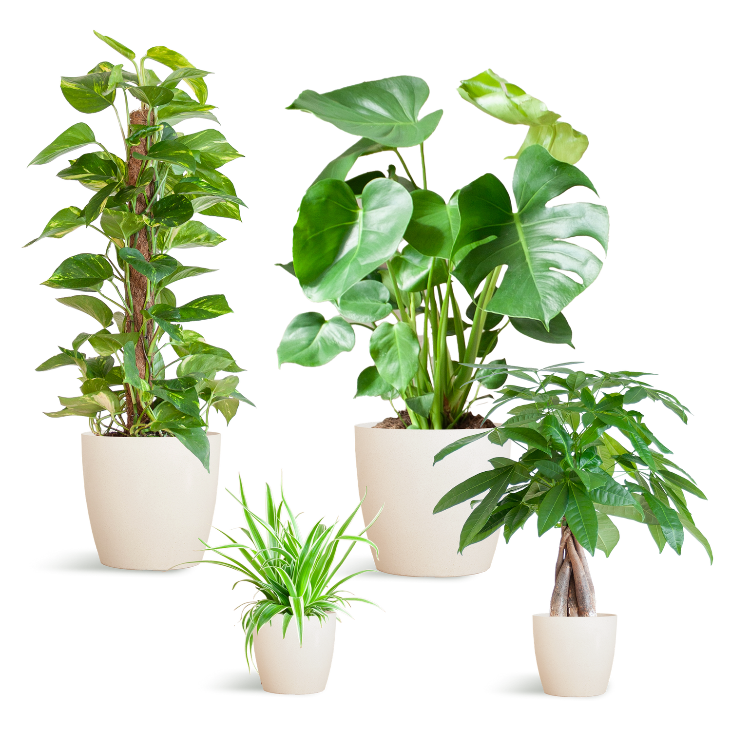 Easy care Plantenbox - medium - med vibers pot vit